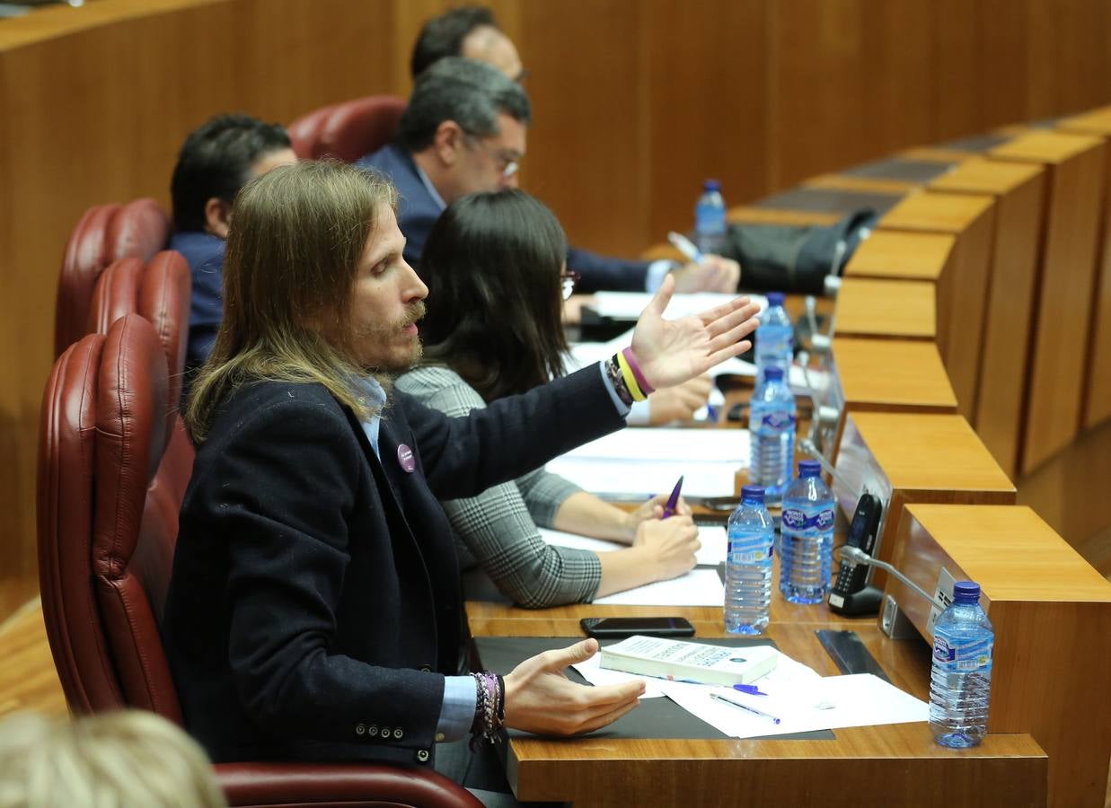 La Junta de Castilla y León prepara una batería de medidas para ponerlas en marcha contra la «soledad mal gestionada», según avanzó hoy la consejera de Familia e Igualdad de Oportunidades, Isabel Blanco