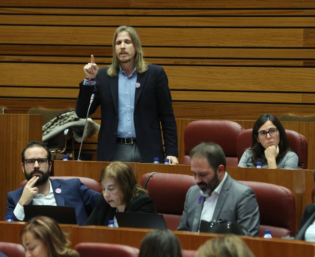 La Junta de Castilla y León prepara una batería de medidas para ponerlas en marcha contra la «soledad mal gestionada», según avanzó hoy la consejera de Familia e Igualdad de Oportunidades, Isabel Blanco