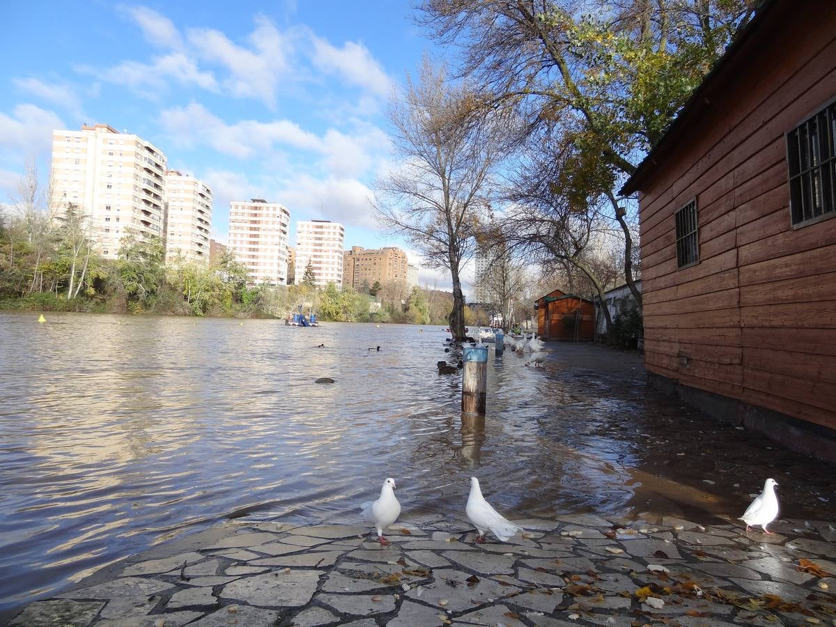A última hora del lunes, el río llegó a arrastrar 272 metros cúbicos y anegó los paseos inferiores bajo el puente de Poniente