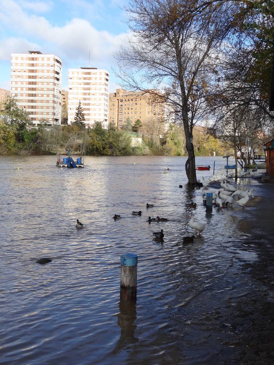 A última hora del lunes, el río llegó a arrastrar 272 metros cúbicos y anegó los paseos inferiores bajo el puente de Poniente