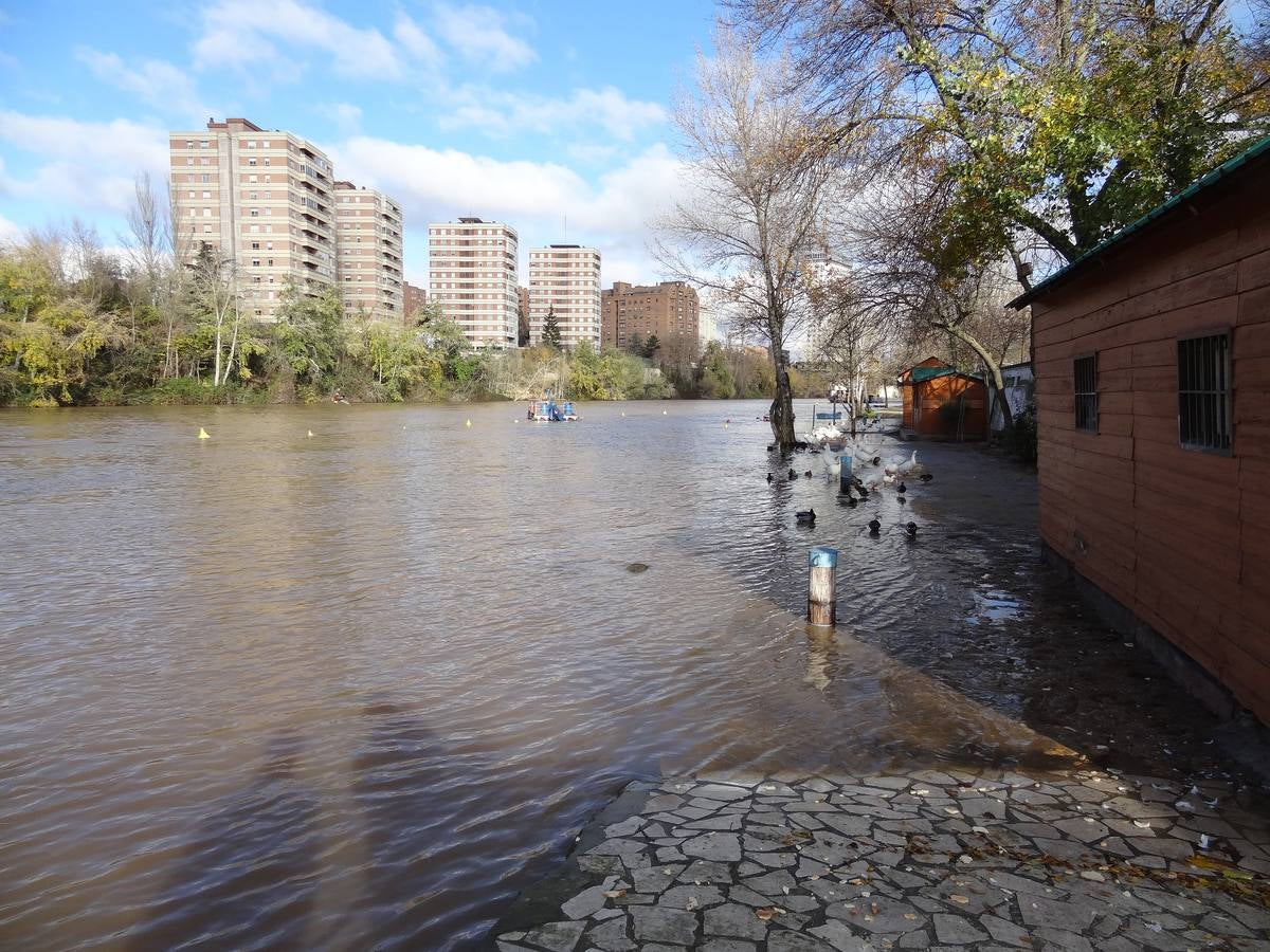 A última hora del lunes, el río llegó a arrastrar 272 metros cúbicos y anegó los paseos inferiores bajo el puente de Poniente