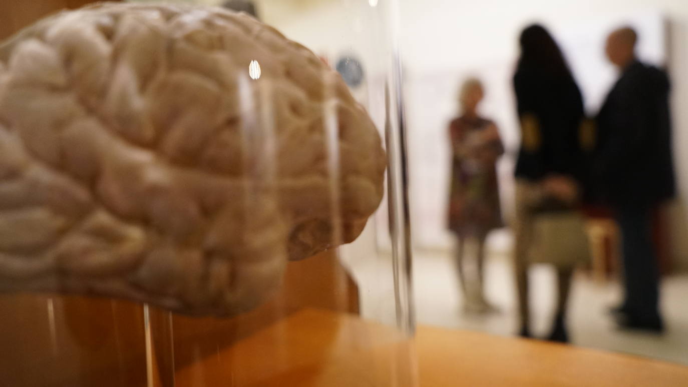 El Museo de la Ciencia examina los procesos del recuerdo desde los puntos de vista personal, cultural, psicológico y biológico con experimentos, proyecciones y paneles informativos en la muestra 'Memoria', desarrollada por el Museo de las Ciencias Príncipe Felipe de Valencia en colaboración con el Exploratorium de San Francisco. 