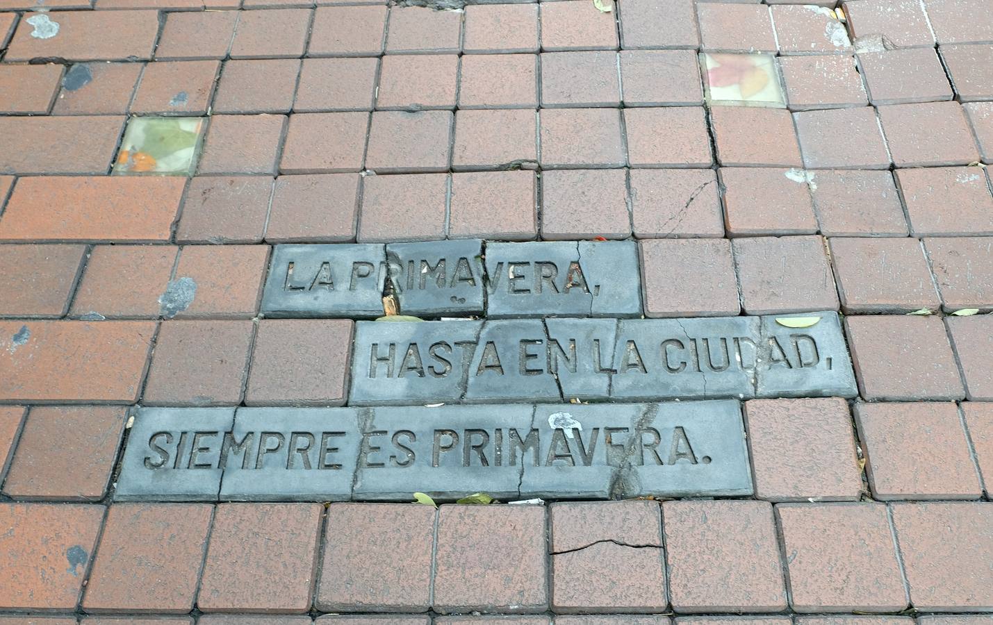 Palabras de Tolstoi en una intervención sobre la naturaleza en la ciudad, en la calle Teresa Gil.