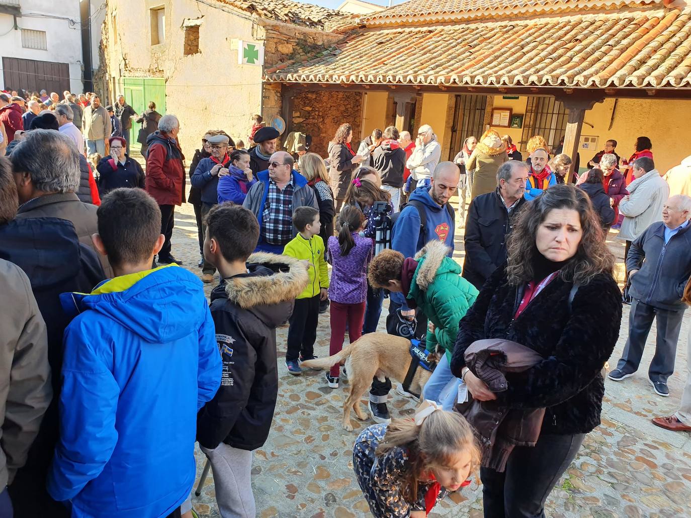 El municipio de El Cabaco se sumó ayer al circuito de la Fiesta de la Matanza Tradicional promovido por la Diputación y lo hizo con gran éxito de público desde primera hora de la mañana. El cerdo, que pesaba 220 kilos, fue despiezado y sus piezas subastadas, obteniéndose unos 500 euros. Los asistentes pudieron degustar un pincho a base de chichas y huevo frito. La comida consistió en patatas meneás y carne asada, amenizada por el tamborilero local Agustín García.