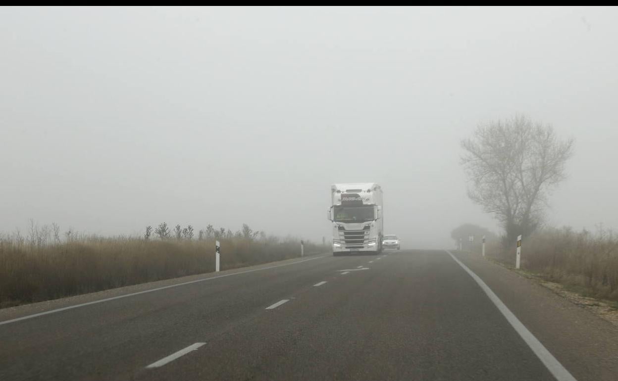 Niebla en la carretera.