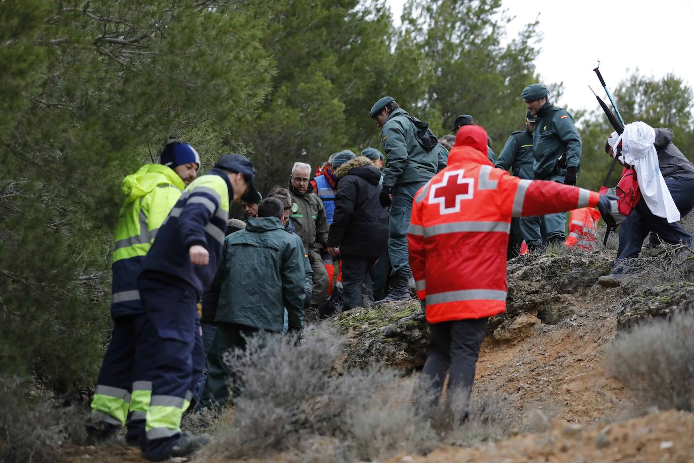 Ha sobrevivido 41 horas a la intemperie en un pinar a 3,8 kilómetros de su casa. 