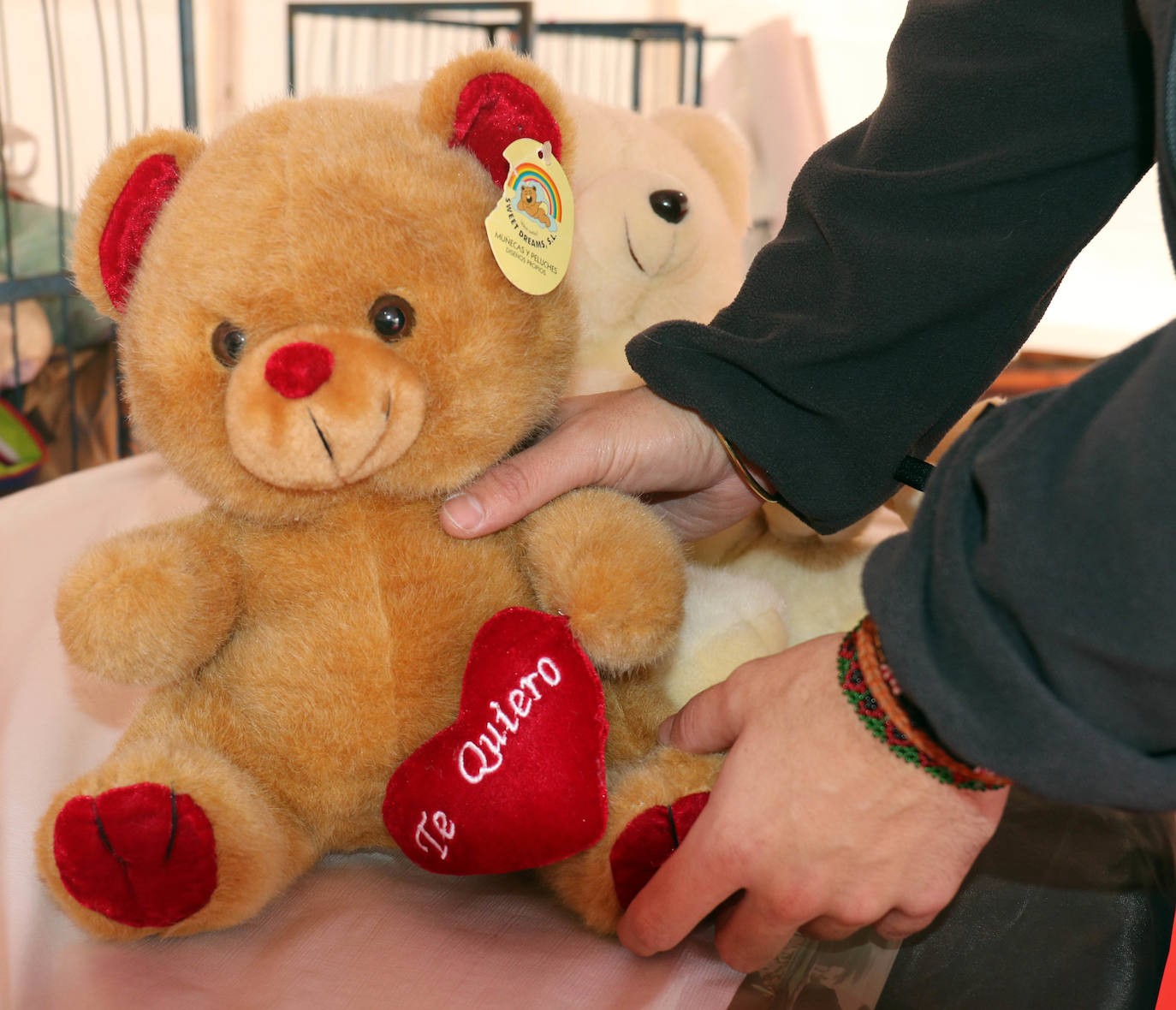 La carpa permanecerá instalada en la Plaza Zorrilla este viernes, el sábado 14 y el domingo 15, de 12:00 a 15:00 horas y de 17:00 a 20:00 horas.