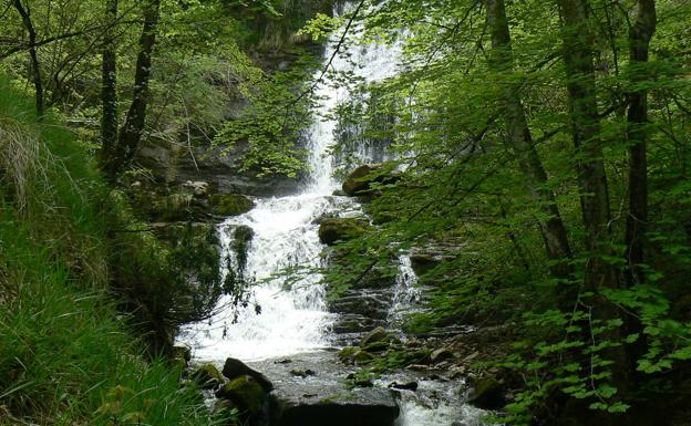 Río Ordunte. Cascada de Aguasal. 