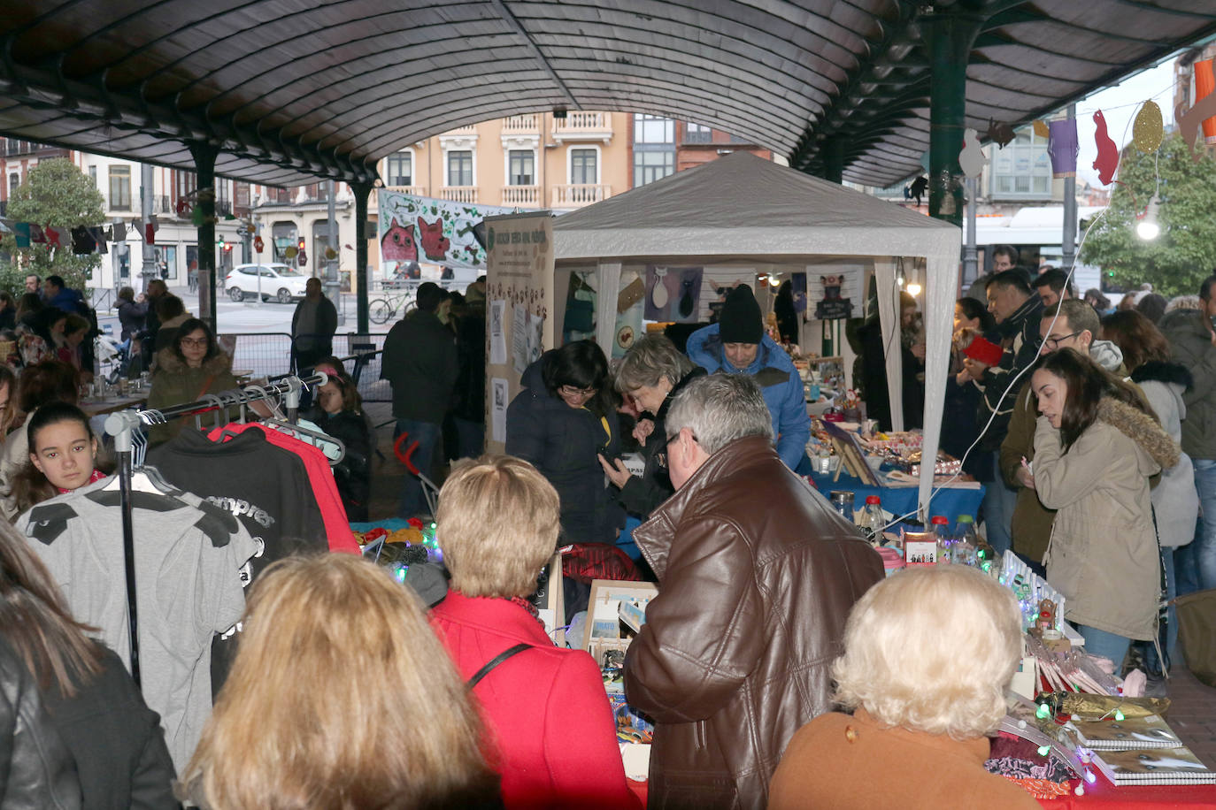 La primera edición de Animalid ha congregado este domingo en Plaza de España de Valladolid a una veintena de asociaciones protectoras, que han dado a conocer la labor que realizan con los animales abandonados y han acercado a la ciudad su «propia realidad» sobre esta forma de maltrato.