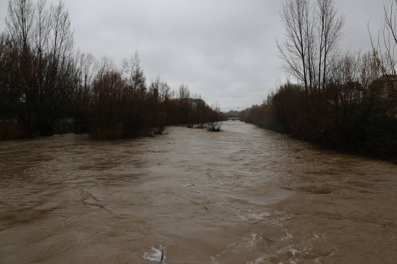 Fotos: El rio Bernesga, a punto de desbordarse a su paso por la capital leonesa