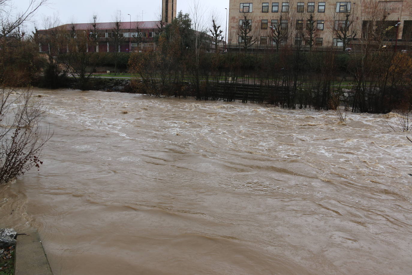 Fotos: El rio Bernesga, a punto de desbordarse a su paso por la capital leonesa