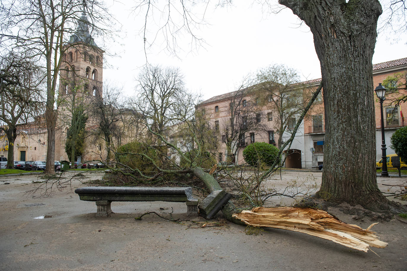 Efectos del vendaval en la ciudad. 