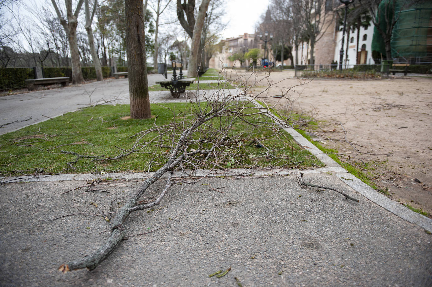 Efectos del vendaval en la ciudad. 