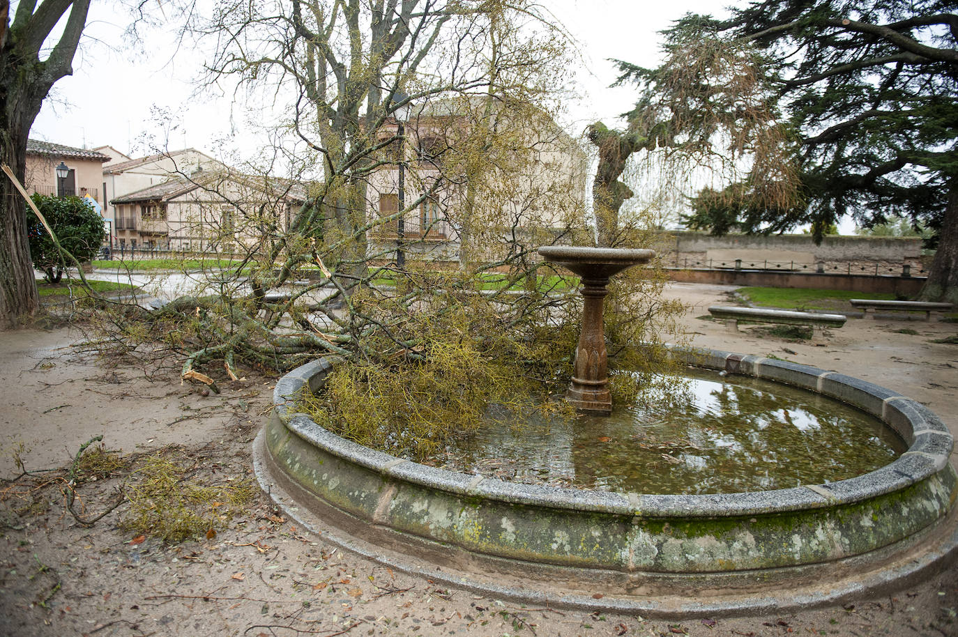Efectos del vendaval en la ciudad. 