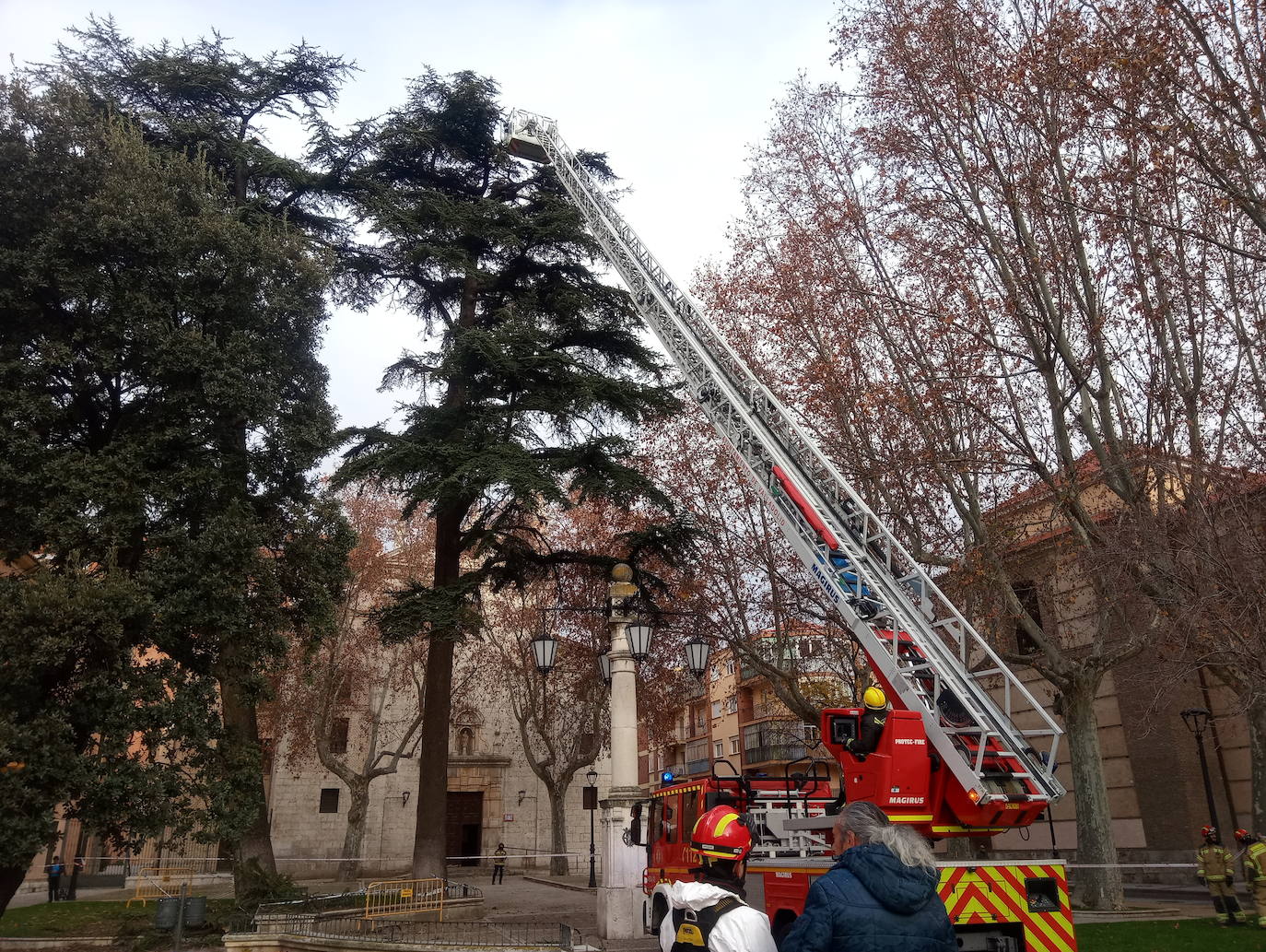 La intervención, en una zona céntrica de Valladolid, ha quitado los materiales acumulados por las aves ante el peligro de desplome, con pesos de alrededor de 500 y 1.000 kg