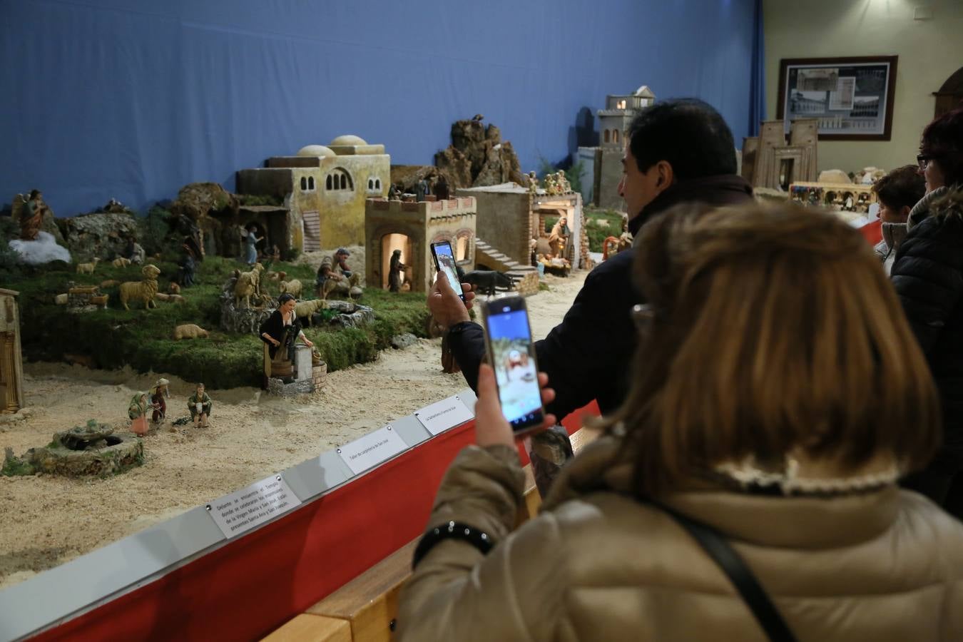 Fotos: Belén de la familia Trebolle-Liz instalada en el Palacio Real de Valladolid