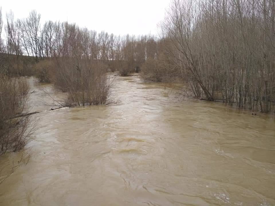 Río Cea en Melgar de Abajo