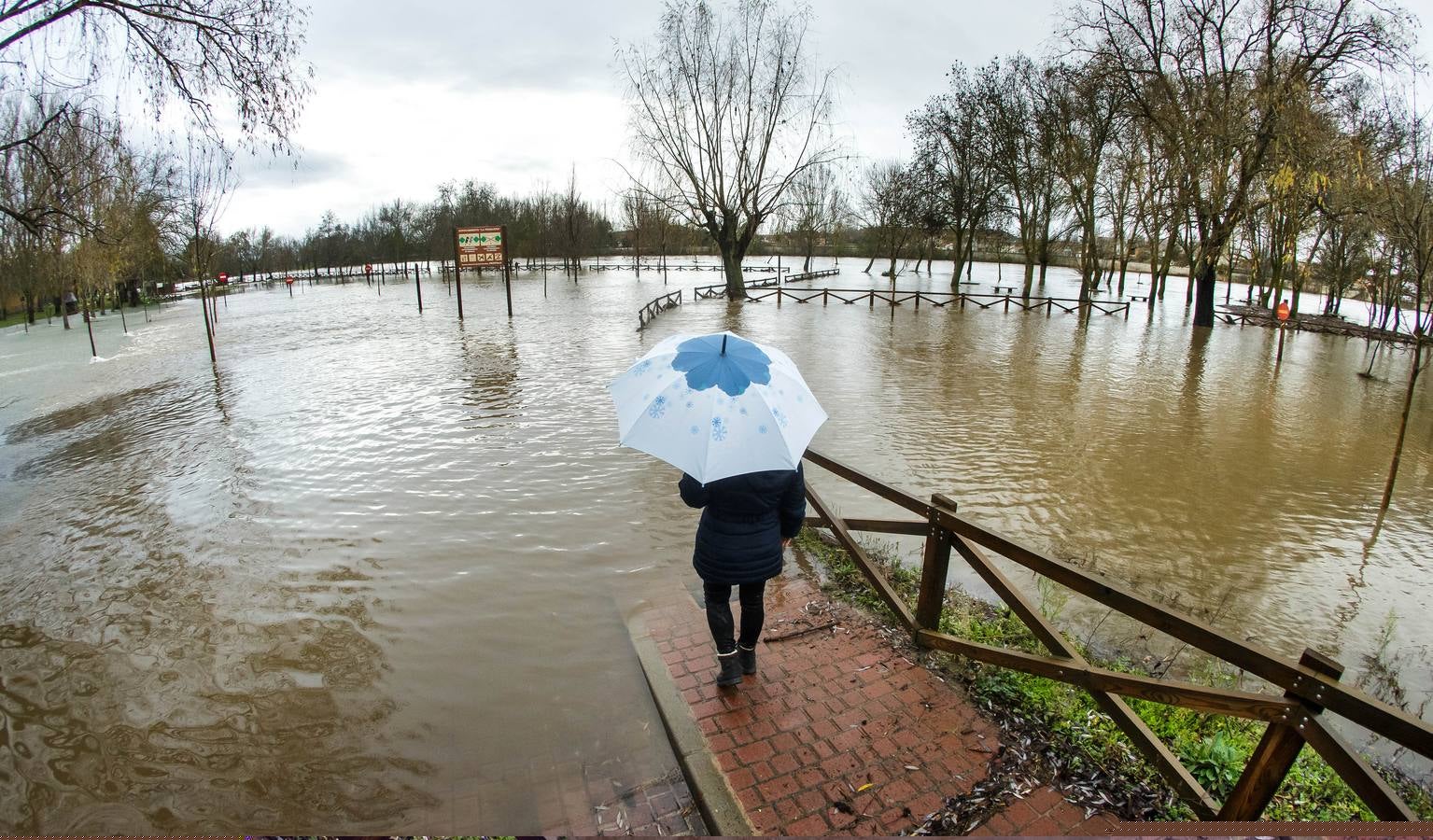 Crecida del río Águeda a su paso por Ciudad Rodrigo.