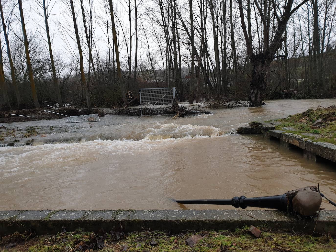 Fotos: El temporal &#039;Elsa&#039; azota al norte de Palencia