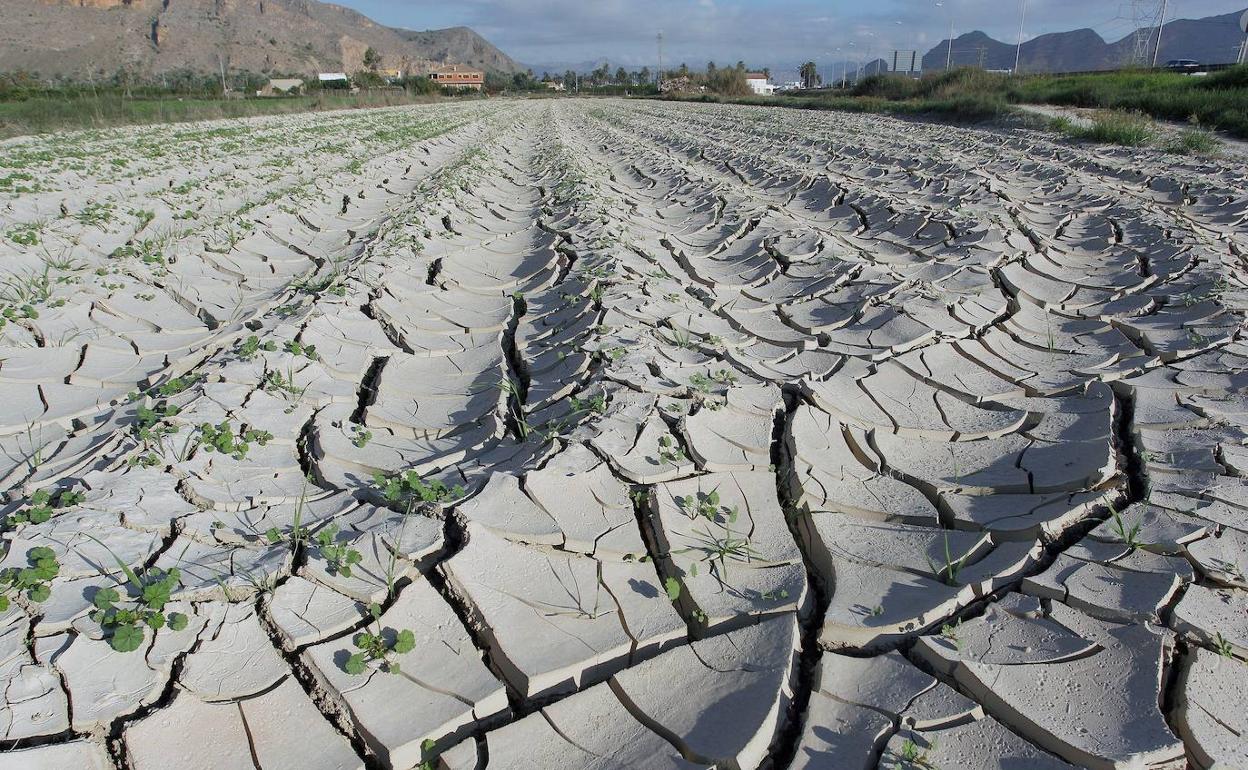 La sequía marca un año en el que el campo se siente blanco de críticas