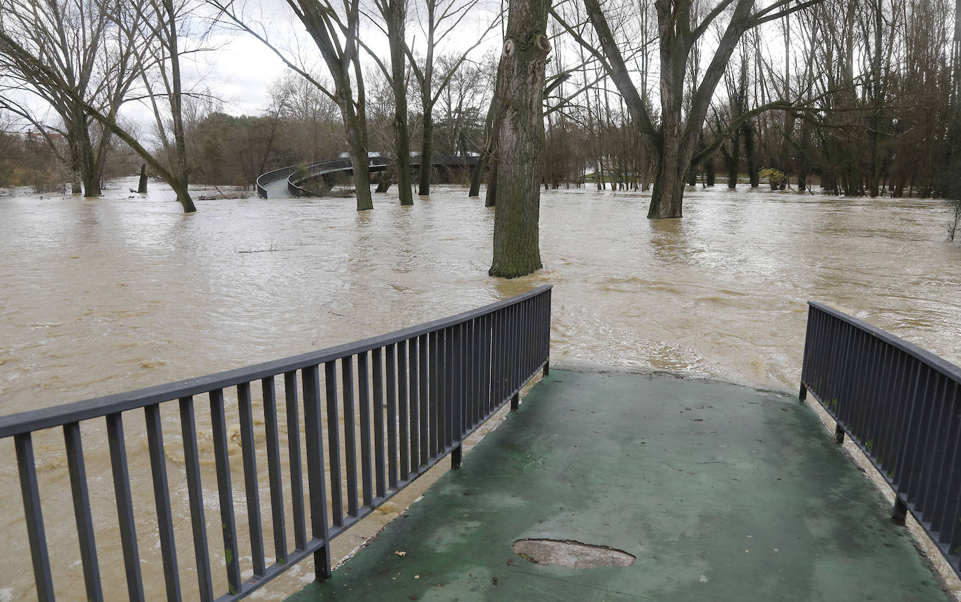 Árboles caidos, puentes y parques anegados por la crecida del río. 