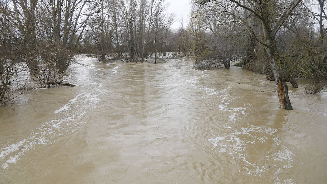 Árboles caidos, puentes y parques anegados por la crecida del río. 