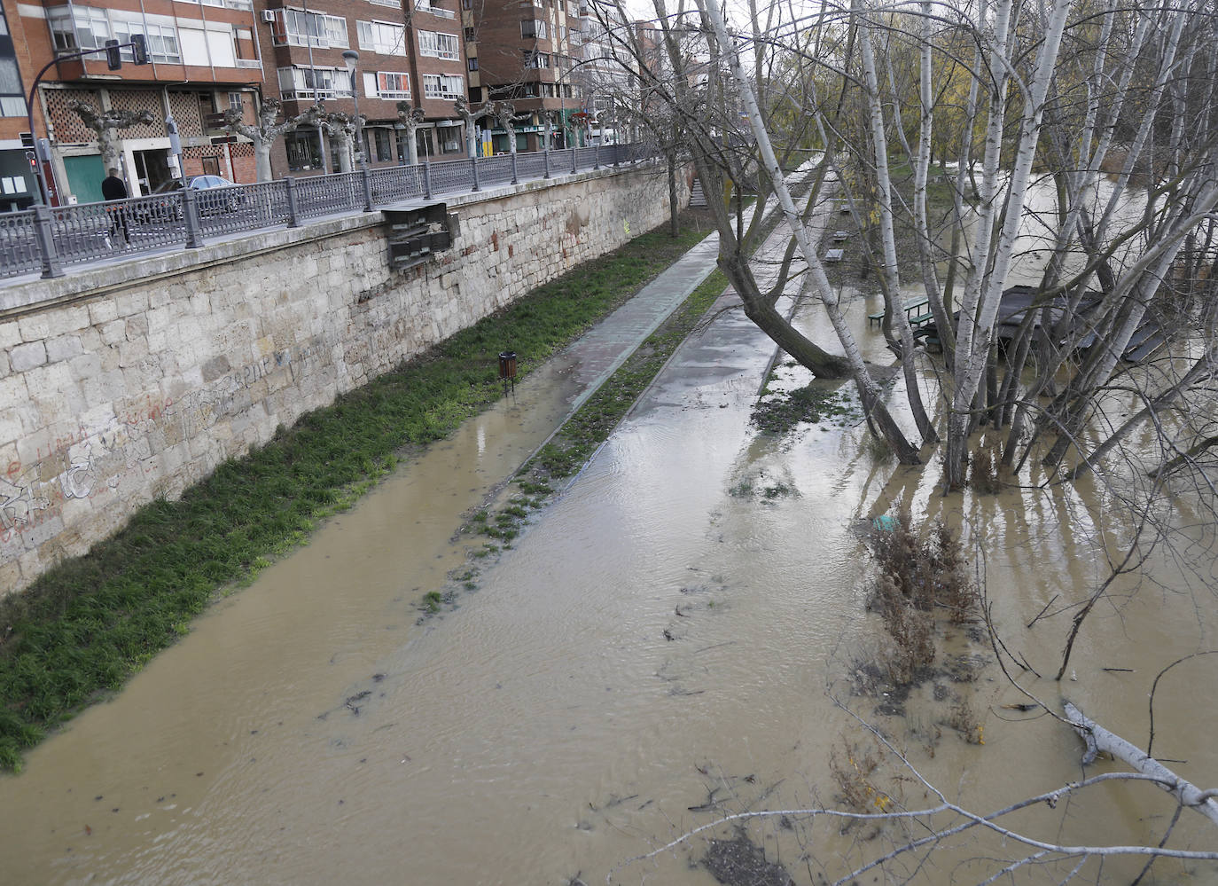 Árboles caidos, puentes y parques anegados por la crecida del río. 