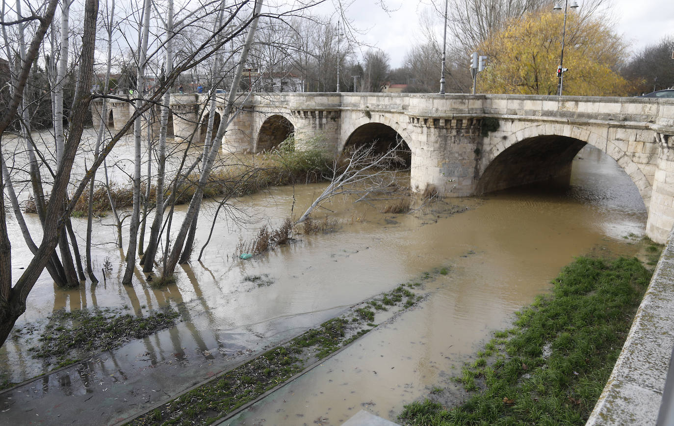 Árboles caidos, puentes y parques anegados por la crecida del río. 