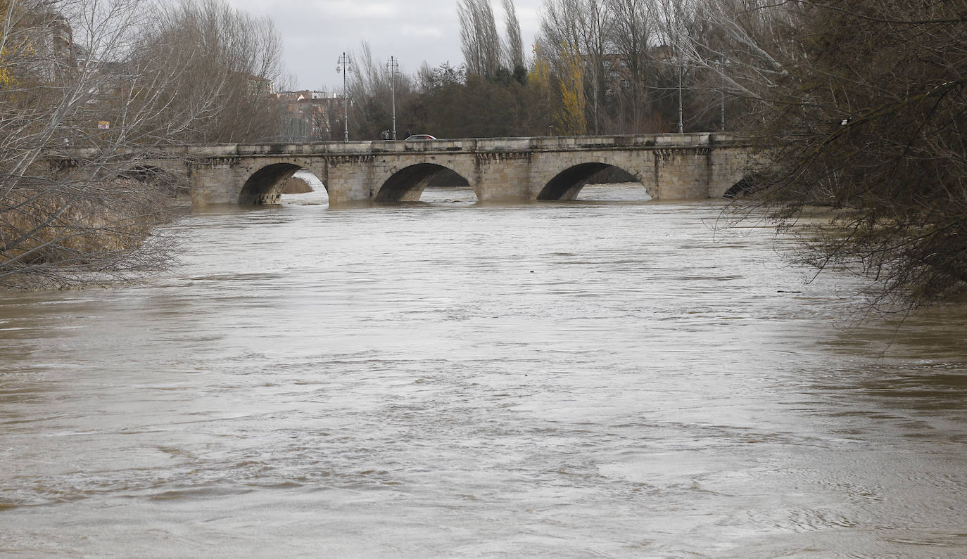 Árboles caidos, puentes y parques anegados por la crecida del río. 