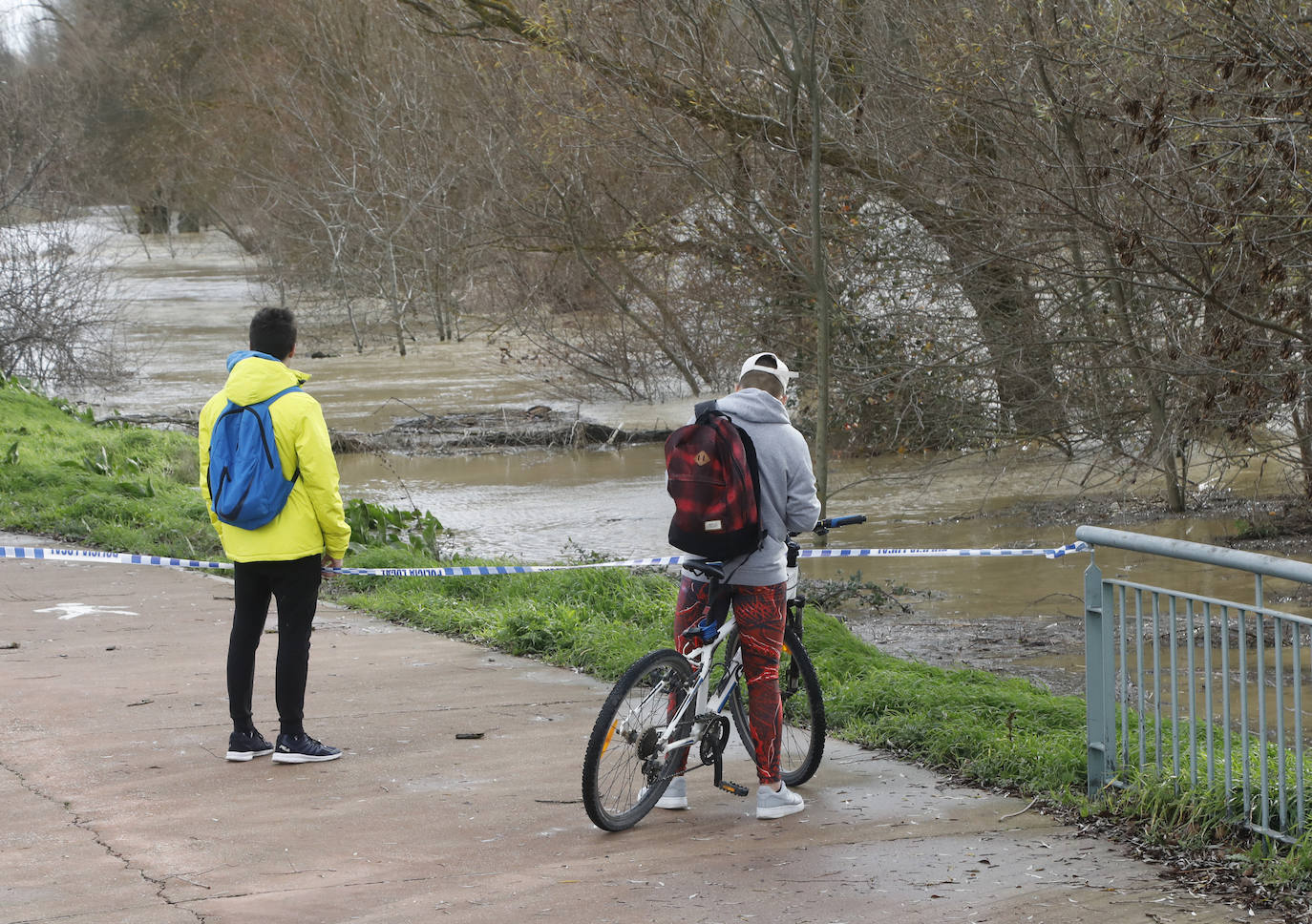 Árboles caidos, puentes y parques anegados por la crecida del río. 