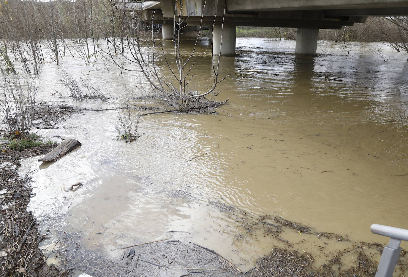 Árboles caidos, puentes y parques anegados por la crecida del río. 