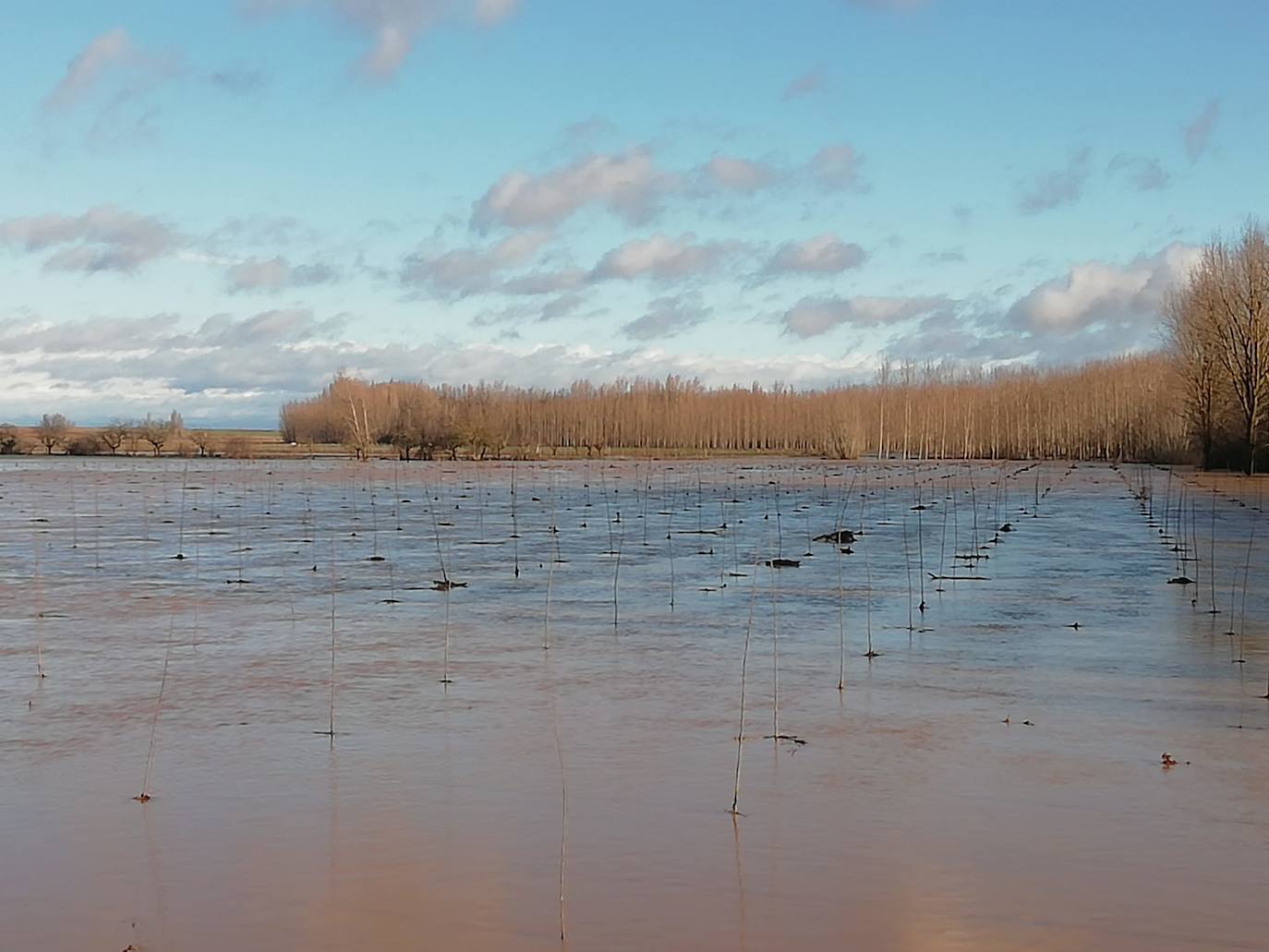 El río Cea a su paso por Melgar de Abajo