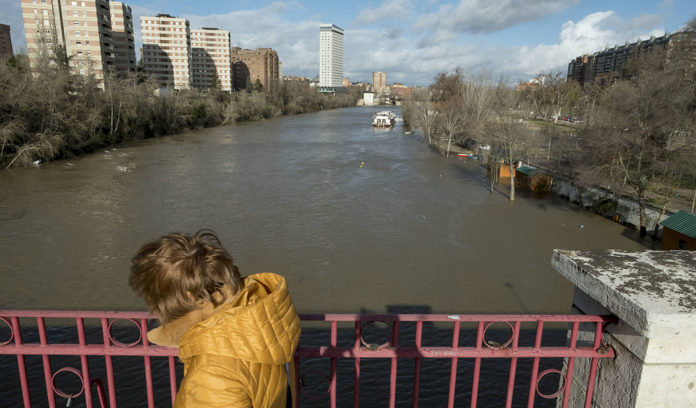 La CHD advierte de una importante crecida del río en la capital debido al elevado caudal que arrastra, el Pisuerga y sus afluentes desde las provincias de Palencia y Burgos. 