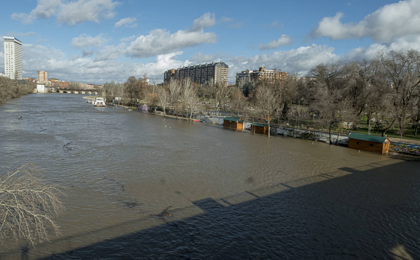 La CHD advierte de una importante crecida del río en la capital debido al elevado caudal que arrastra, el Pisuerga y sus afluentes desde las provincias de Palencia y Burgos. 