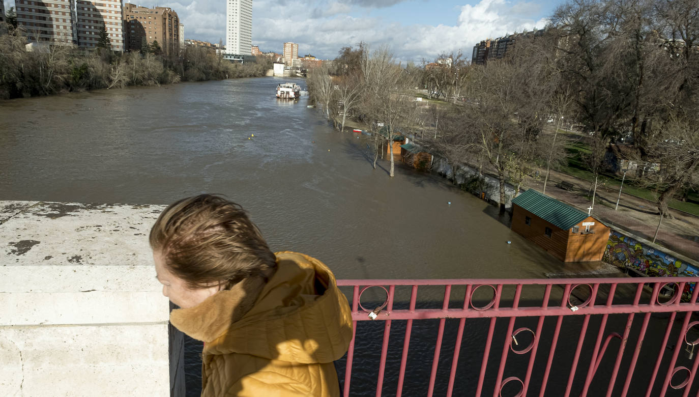 La CHD advierte de una importante crecida del río en la capital debido al elevado caudal que arrastra, el Pisuerga y sus afluentes desde las provincias de Palencia y Burgos. 