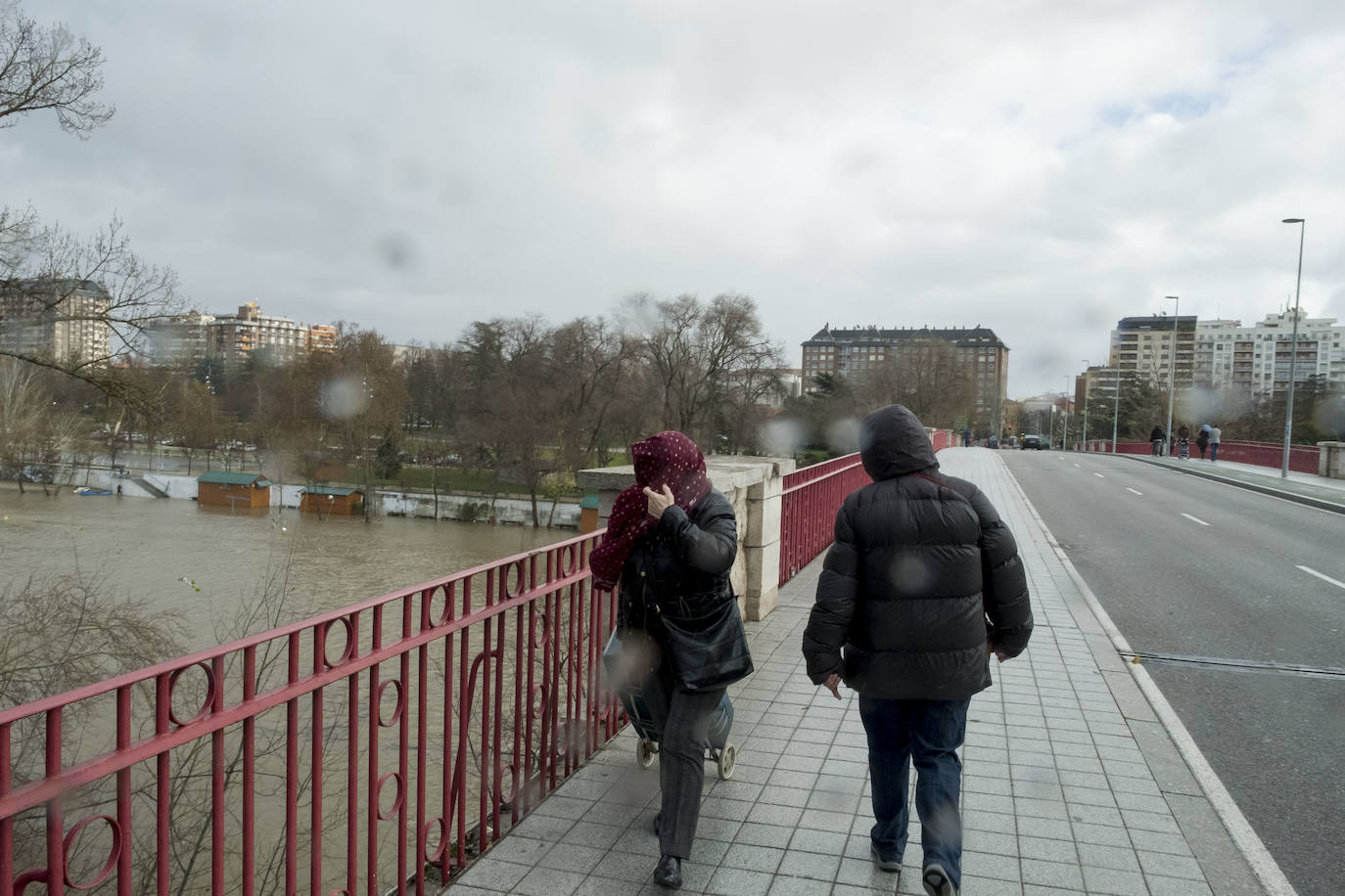 La CHD advierte de una importante crecida del río en la capital debido al elevado caudal que arrastra, el Pisuerga y sus afluentes desde las provincias de Palencia y Burgos. 