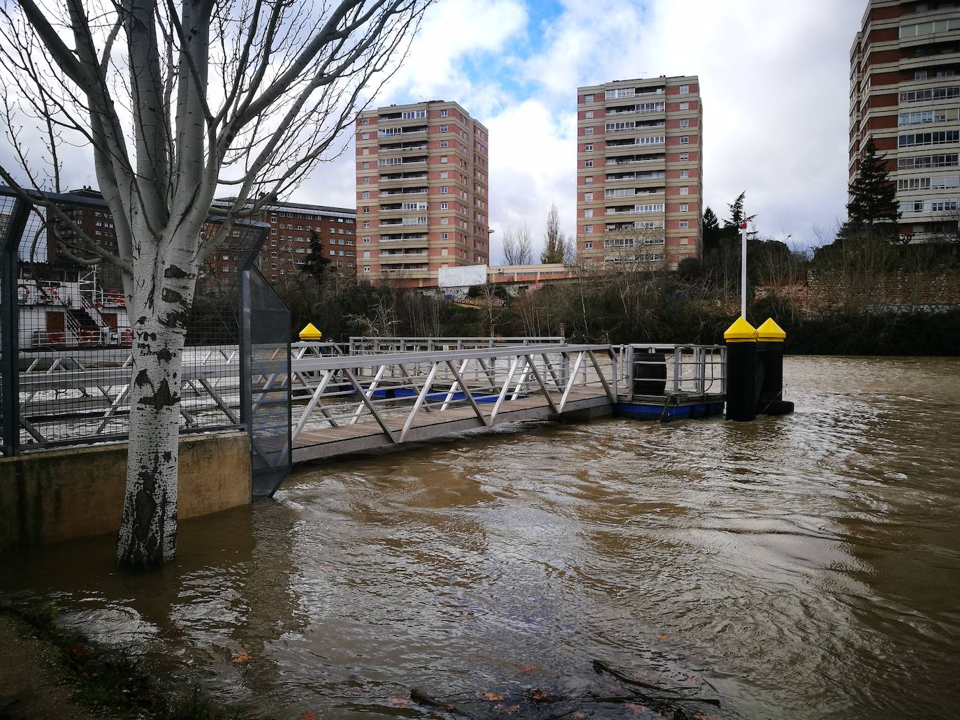 La CHD advierte de una importante crecida del río en la capital debido al elevado caudal que arrastra, el Pisuerga y sus afluentes desde las provincias de Palencia y Burgos. 