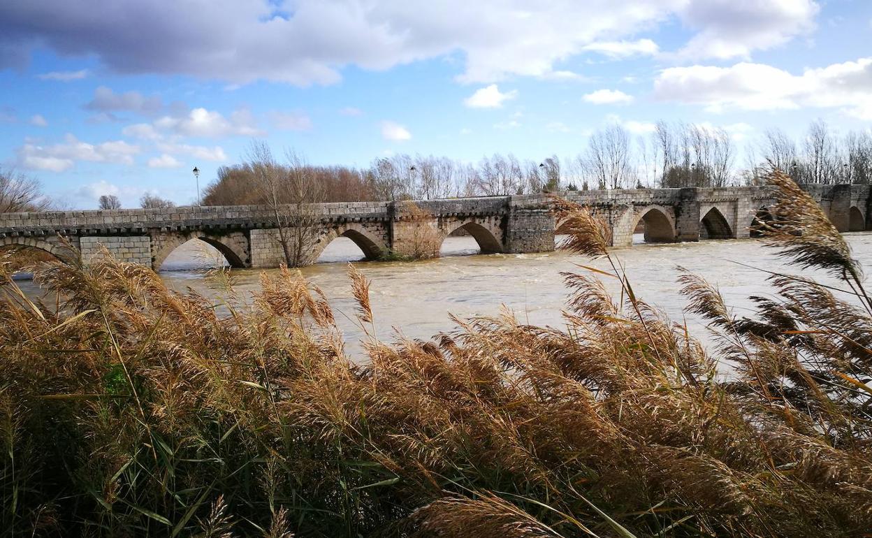 El Pisuerga hoy, a la altura de Simancas. 