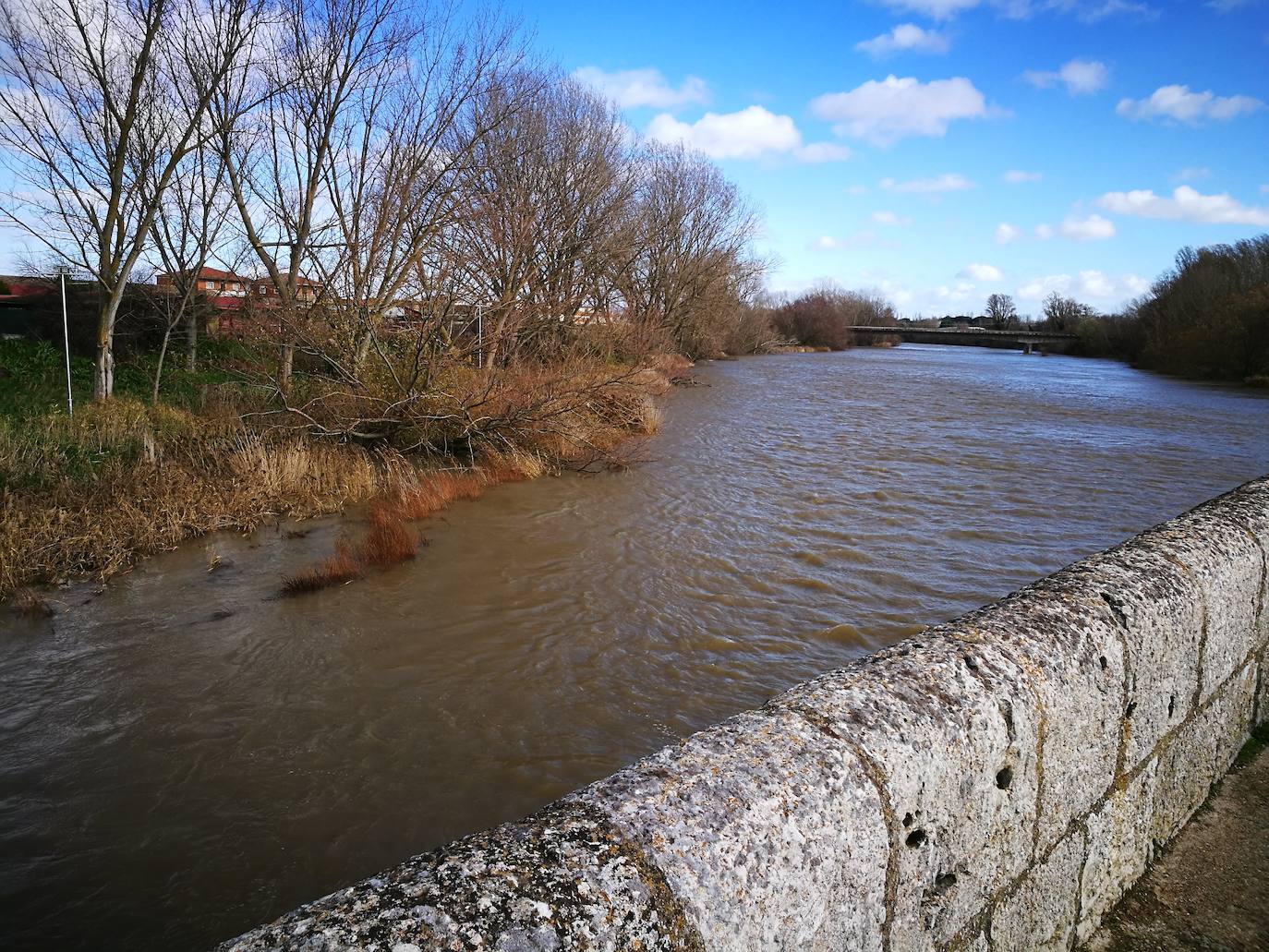 Fotos: El Pisuerga, a punto de inundar por completo el puente de Simancas