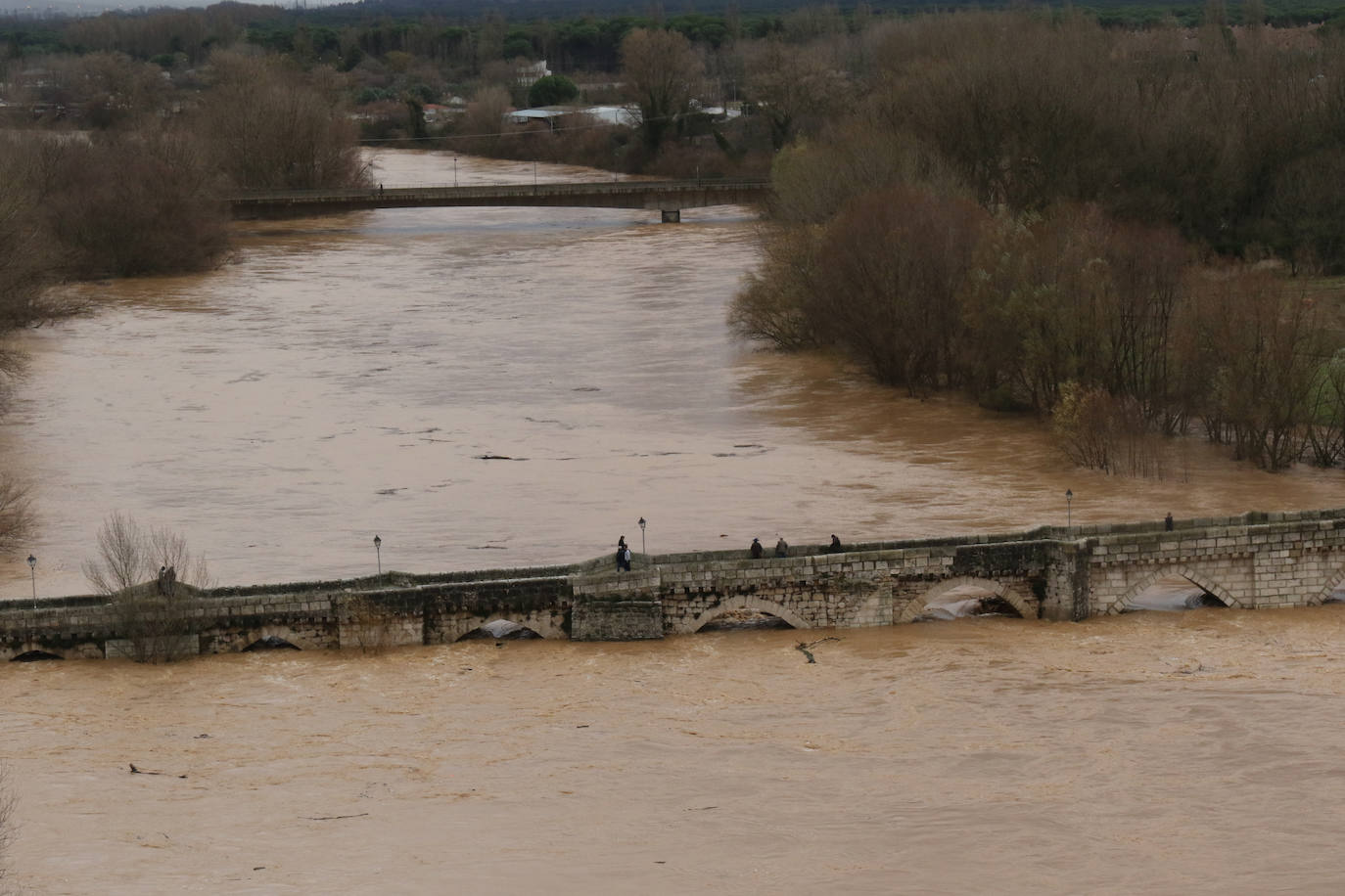 Fotos: El Pisuerga, a punto de inundar por completo el puente de Simancas