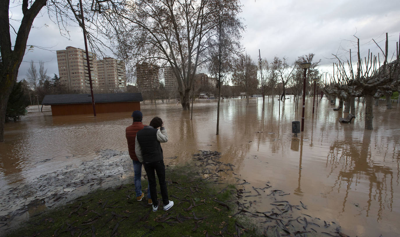 Durante este domingo el caudal fluvial del Pisuerga a su paso por Valladolid ha alcanzado los 1.190 metros cúbicos por segundo.