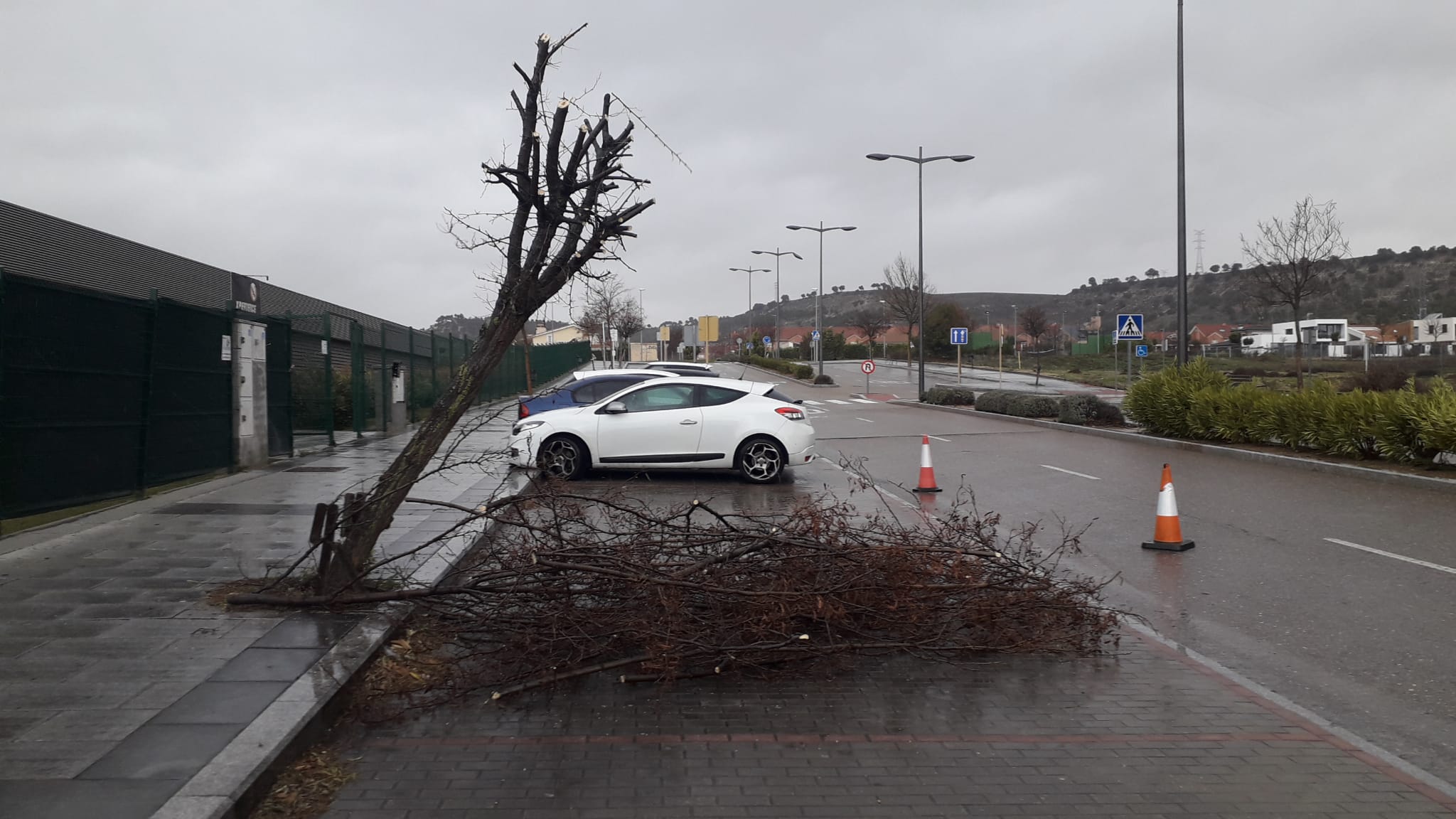 Un árbol derribado en Arroyo de la Encomienda.