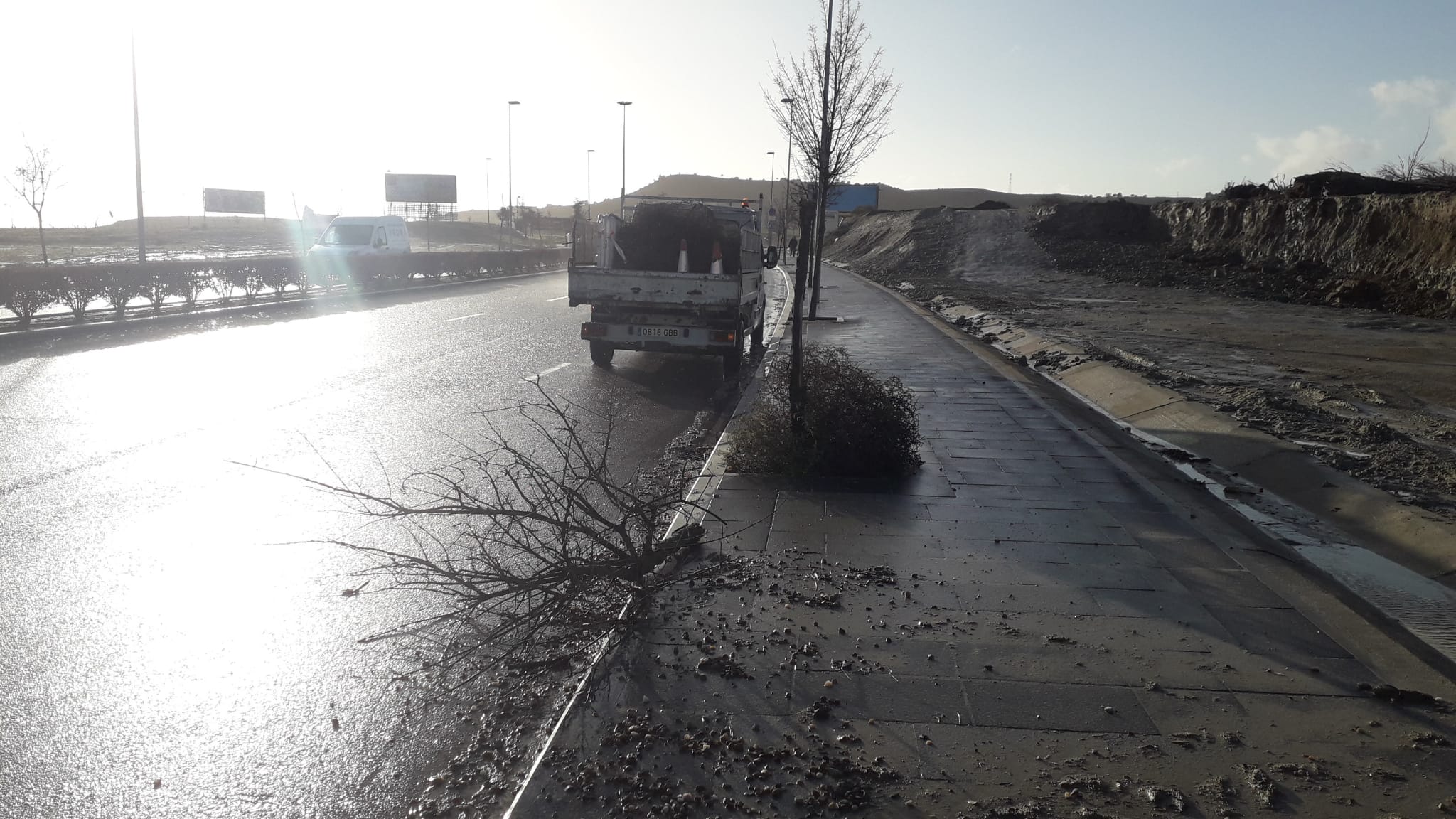 Un árbol derribado en Arroyo de la Encomienda.