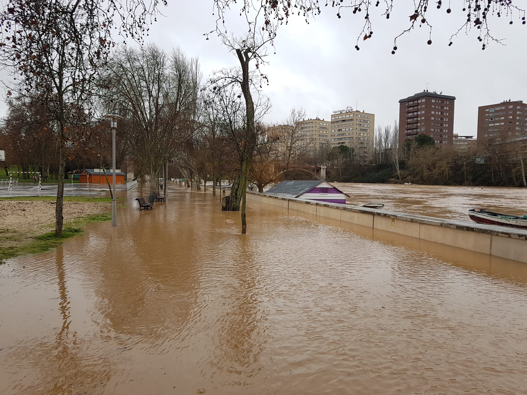 Durante este domingo el caudal fluvial del Pisuerga a su paso por Valladolid ha alcanzado los 1.190 metros cúbicos por segundo.