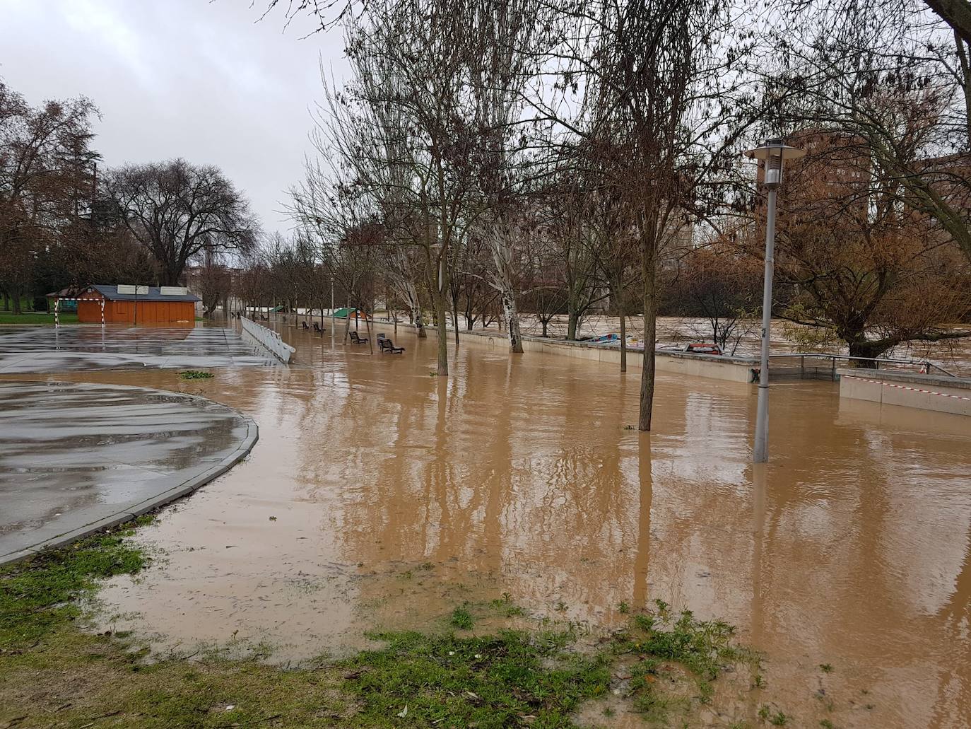 Durante este domingo el caudal fluvial del Pisuerga a su paso por Valladolid ha alcanzado los 1.190 metros cúbicos por segundo.