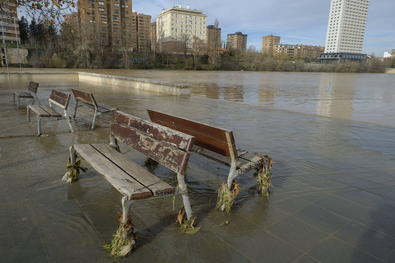 Estado del río Pisuerga a su paso por Valladolid capital este lunes 23 de diciembre por la mañana. 