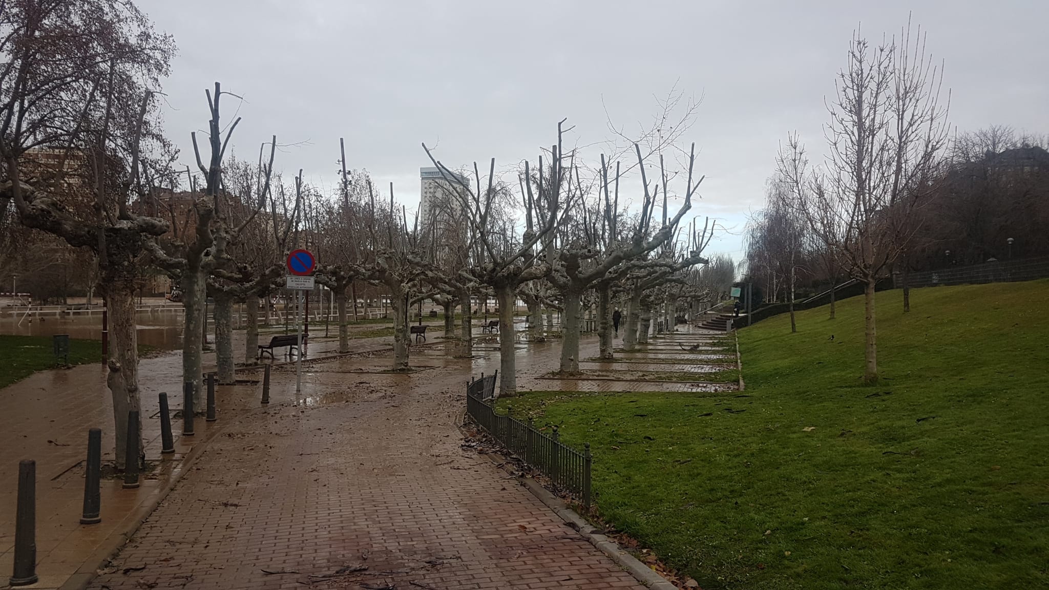 Estado del río Pisuerga a su paso por Valladolid capital este lunes 23 de diciembre por la mañana. 