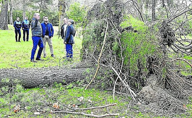 Visita del viceconsejero, este lunes, a El Espinar.