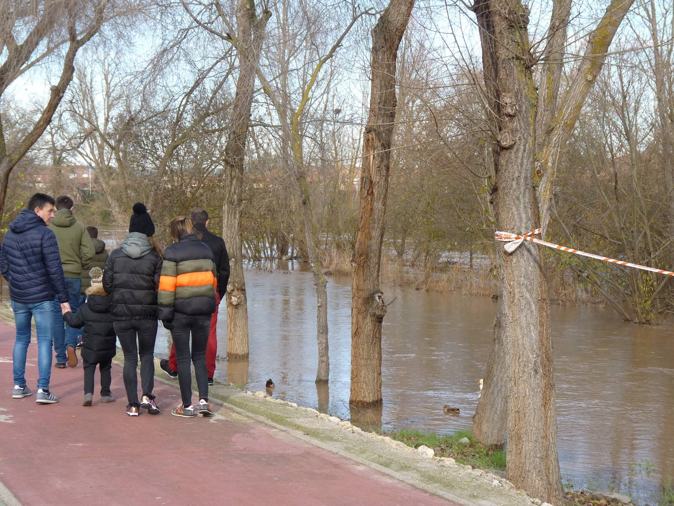 Fotos: El río Duero a la altura de Tudela el día de Navidad