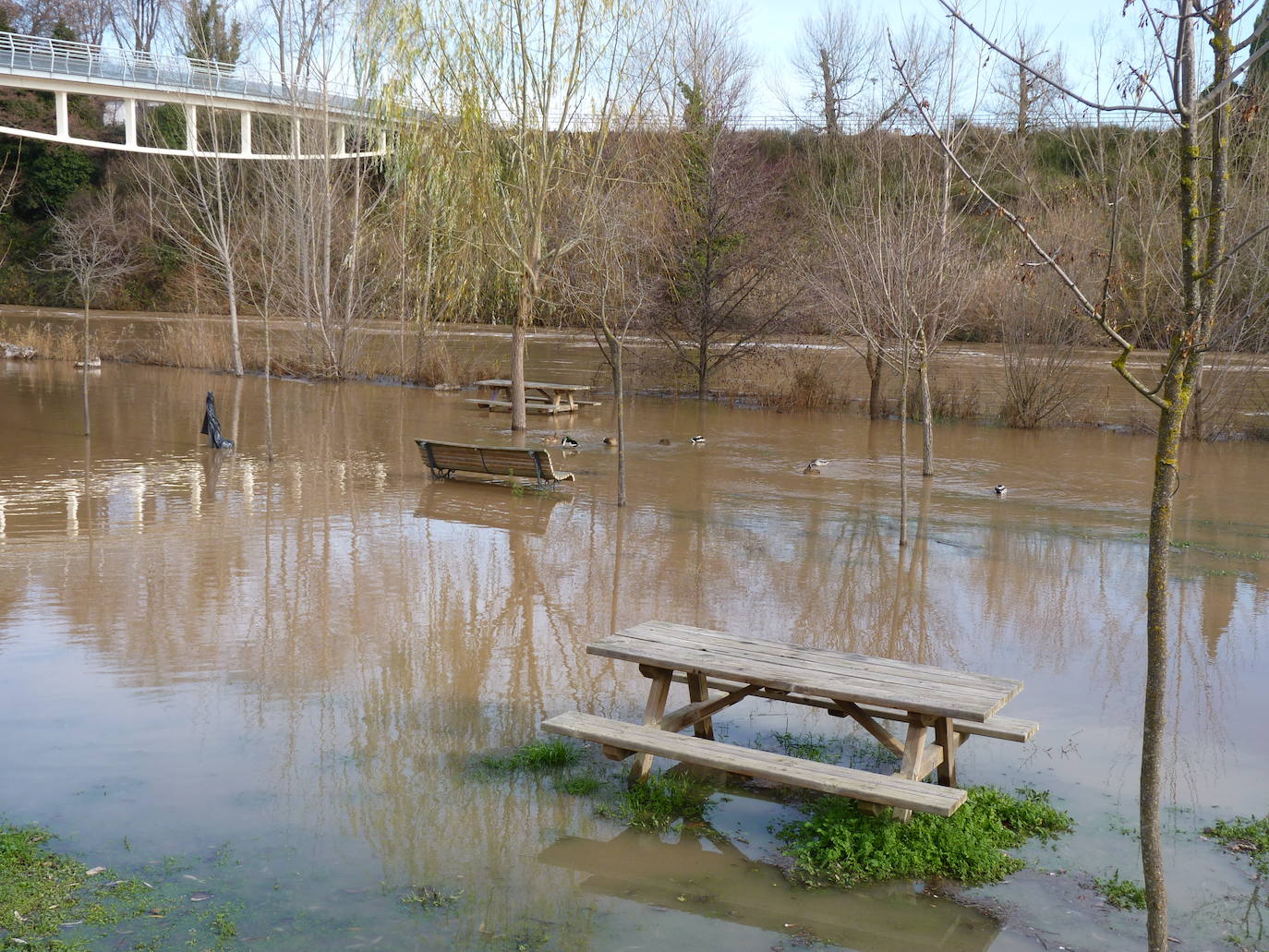 Fotos: El río Duero a la altura de Tudela el día de Navidad